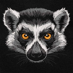 Könnte beinhalten: Nahaufnahme des Gesichts eines Lemurs mit schwarz-weißem Fell und leuchtend orangefarbenen Augen. Der Lemur schaut direkt auf den Betrachter.