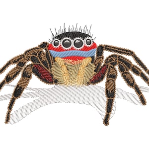 Jumping Spider 3D Embroidery Design, Realistic Cute Insect with Pretty Haircut, Machine embroidery files in 4 sizes