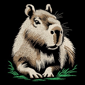 Könnte beinhalten: Nahaufnahme eines braunen und weißen Capybaras mit grünem Gras drumherum. Das Capybara schaut direkt auf den Betrachter.