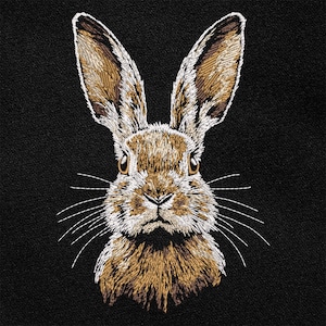 May include: Close-up of a brown and white rabbit's face with long ears and whiskers. The rabbit is looking directly at the viewer.
