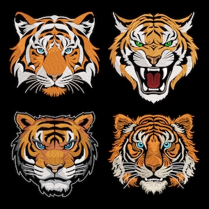 Könnte beinhalten: Vier Nahaufnahmen von Tigergesichtern. Jeder Tiger hat orange und schwarze Streifen, weißes Fell um die Augen und den Mund und blaue Augen. Die Tiger schauen direkt auf den Betrachter.