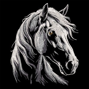 May include: A white horse head with a black background. The horse has a long mane and a dark eye with a yellow iris.