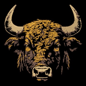 May include: A close-up of a bull's head with large, curved horns. The bull's fur is a dark brown with a golden sheen. The bull's eyes are dark and intense, and its nose is black.