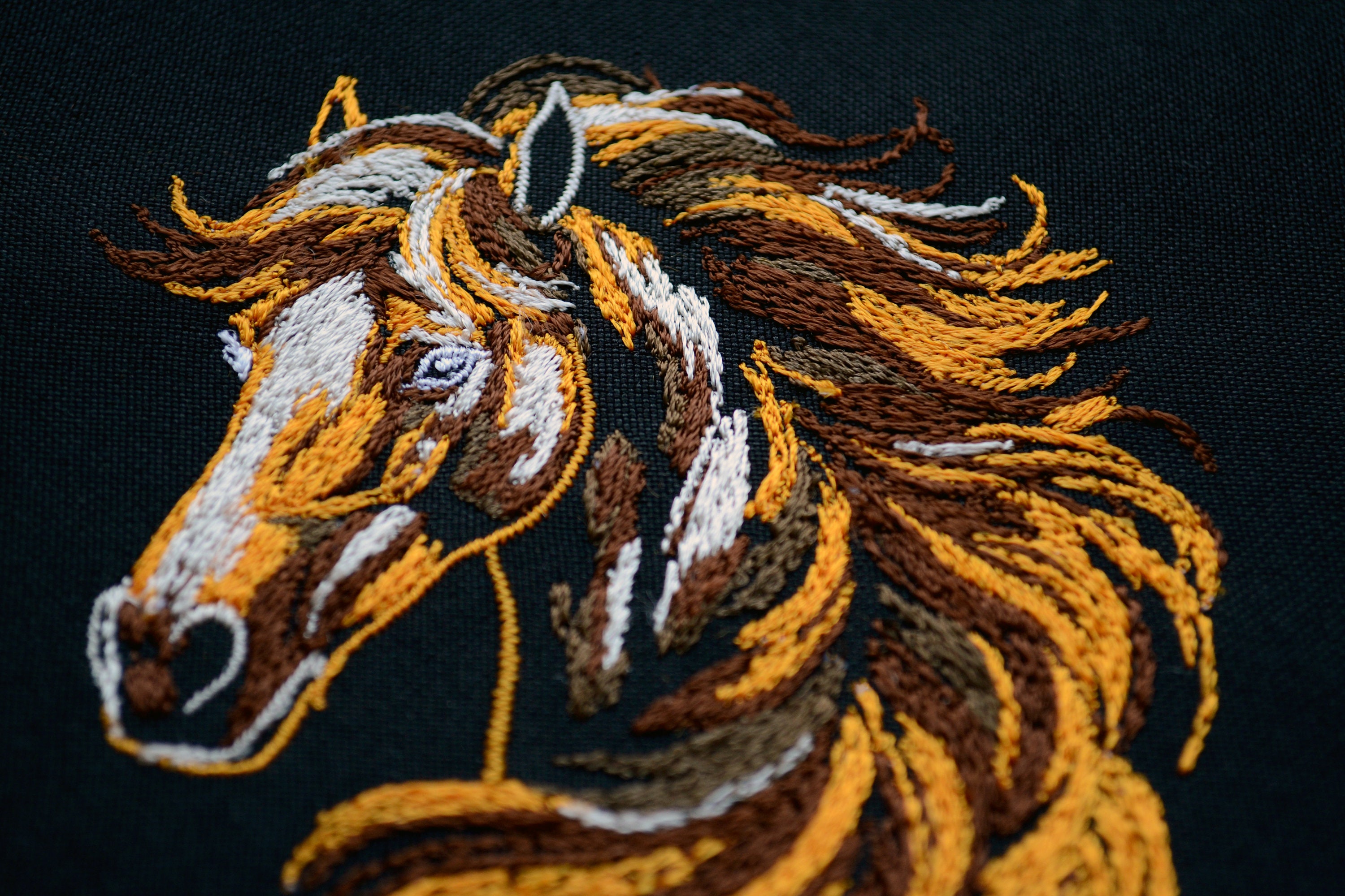 Elegant Horse Head Embroidery Designs Bundle - Noble Animal Art for ...