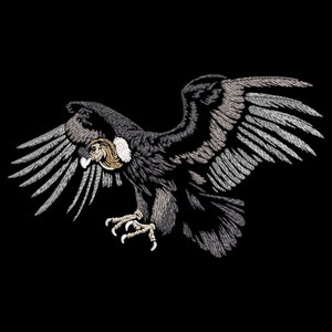 Diseño de bordado de cóndor andino: Patrón de emblema de pájaro majestuoso, Proyectos de artesanía patriótica de América Latina, PES de puntada de relleno para telas oscuras