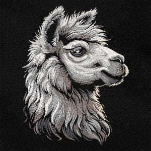 May include: A close-up of a white alpaca's face with fluffy fur. The alpaca has a soft, gentle expression and is looking to the side.