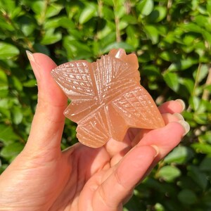 May include: A carved, peach-coloured crystal in the shape of a maple leaf. The leaf has detailed veining and is held in a hand against a backdrop of green foliage. The crystal is a decorative item.