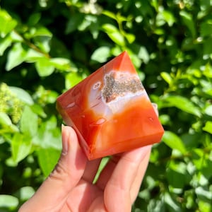 May include: A carnelian pyramid, displaying a rich orange hue with white veining. The gemstone has a natural cavity with a speckled interior. The pyramid is held against a backdrop of green foliage, accentuating its colour and unique patterns. A decorative item.