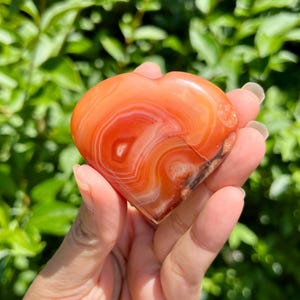 Pietra di palma a forma di cuore in corniola da 55 mm, cristallo di corniola, pietra di palma in cristallo, alta qualità.