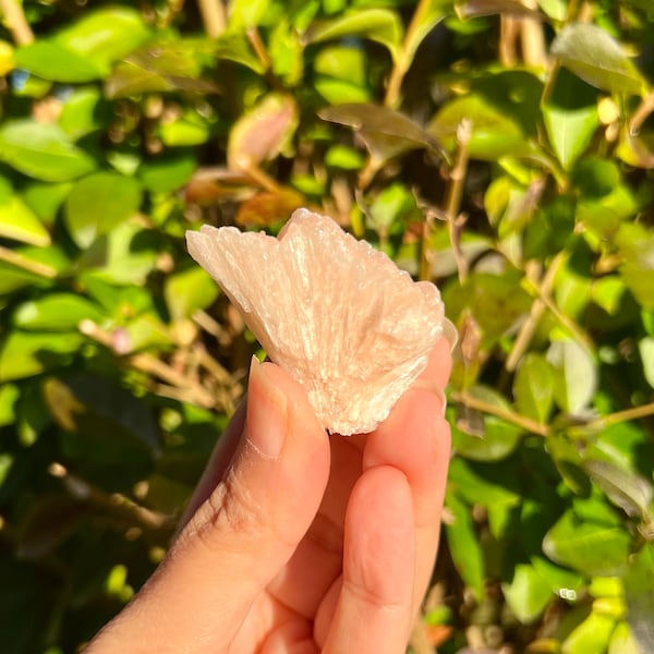 45mm / 35grams Orange Stilbite Mineral, Crystal Mineral