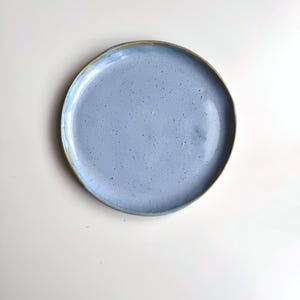 May include: A light blue ceramic plate with a speckled glaze and a brown rim.