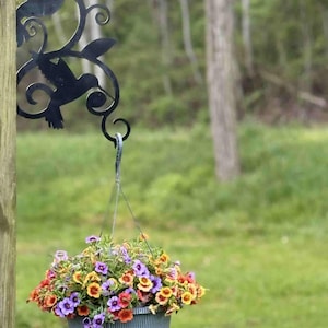 Puede incluir: Una cesta colgante llena de flores coloridas en tonos morados, naranjas y amarillos. La cesta está suspendida de un soporte decorativo de metal negro con forma de colibrí, fijado a un poste de madera, sobre un fondo verde borroso.
