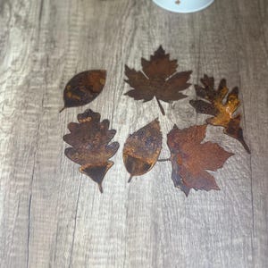 Rustikale Metallahorn- und Eichenblätter für die Herbstdekoration von 6