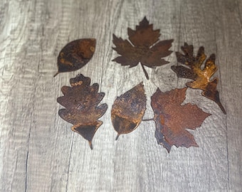 Rustic metal Maple and Oak Leaves for fall decorations set of 6