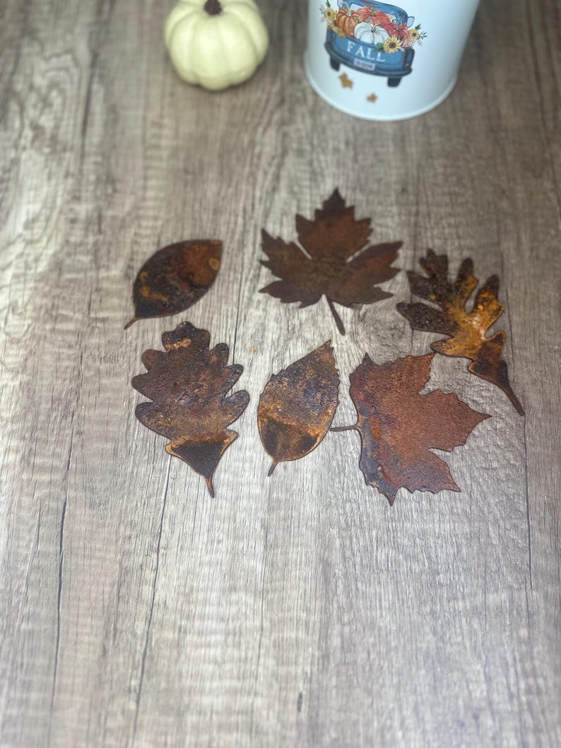May include: A set of six rusty metal leaf cutouts in various shapes, including maple, oak, and other leaf designs. The leaves are arranged on a light brown wooden surface.