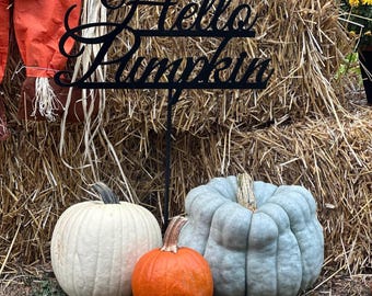 May include: A black metal sign with the words "Hello Pumpkin" in a decorative font, standing in a pile of hay bales. There are three pumpkins in front of the sign, one white, one orange, and one blue-grey.
