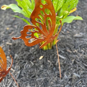 Rustic butterfly and dragonfly garden stake set of 2