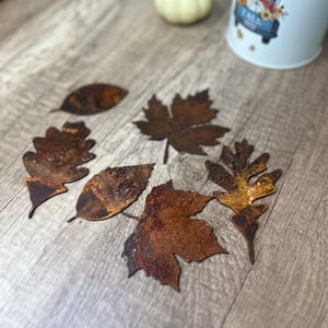 May include: Six rusty metal leaf cutouts in various shapes and sizes, including oak leaves, maple leaves, and other autumn foliage. The leaves are arranged on a light brown wooden surface.