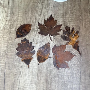 May include: Six rusty metal leaf cutouts in various shapes, including maple, oak, and simple leaf shapes, on a woodgrain surface.
