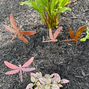 Rustic Dragonfly Garden Stake Set of 4