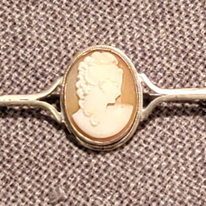 以下が含まれることがあります： 女性の横顔が描かれた楕円形のカメオブローチ。カメオは、バーピン留め付きのシルバーカラーの金属フレームにセットされています。クラシックなジュエリーです。