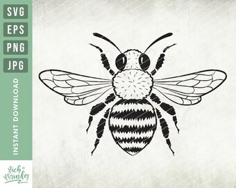 Free Free 135 Sweet As Can Bee Svg Free SVG PNG EPS DXF File