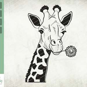 Peeking Giraffe with flower Svg, Giraffe Peeking Face Svg, Flower svg, Floral Giraffe Svg, Safari Svg, Giraffe Shirt Design, Cut files, Png