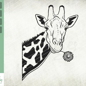 Peeking Giraffe with flower Svg, Giraffe Peeking Face Svg, Flower svg, Floral Giraffe Svg, Safari Svg, Giraffe Shirt Design, Cut files, Png
