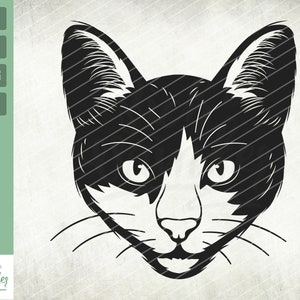 Cute cat svg, Funny Cat face svg, cat face svg, Kitten head svg, whiskers svg, Vector art, Digital file, png, jpg Clipart Vector, Cut file