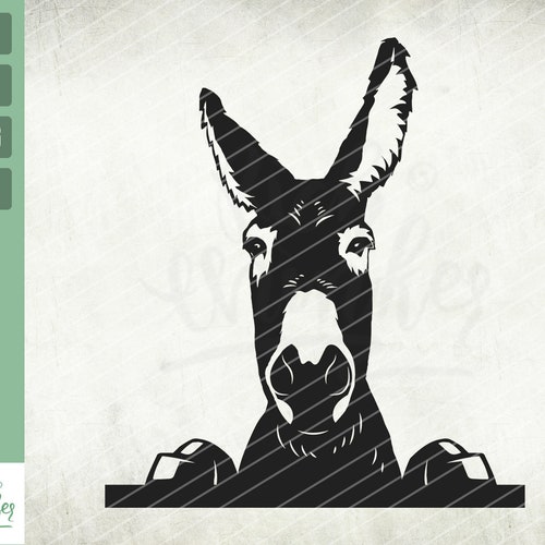 Donkey Svg Files for Cricut Clipart Farm Animal Funny - Etsy