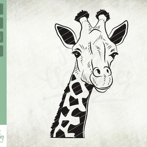 Giraffe Svg, Giraffe peeking Gesicht Svg, Peeking Svg, Zoo Svg, süße Giraffe Svg, Safari Svg, Giraffe Shirt Design, Tier Svg, schneiden Dateien