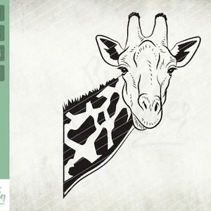 Peeking Giraffe Svg, Giraffe Peeking Face Svg, Zoo svg, Cute Giraffe Svg, Safari Svg, Giraffe Shirt Design, Animal svg, Cut files, Circut