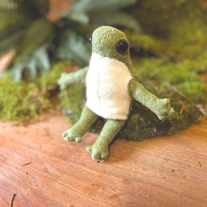 Patrón de costura de rana