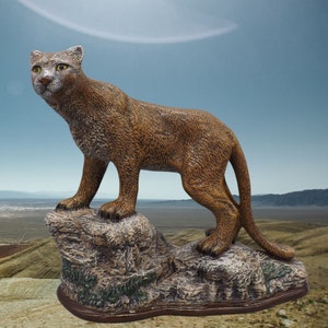 This Mountain Lion/Puma/Cougar