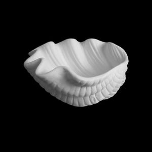 Op de afbeelding: Een witte, schelpvormige decoratieve kom. De kom heeft een getextureerde, geribbelde buitenkant en een gladde, golvende binnenkant. De kom staat tegen een zwarte achtergrond, wat de vorm en details benadrukt.