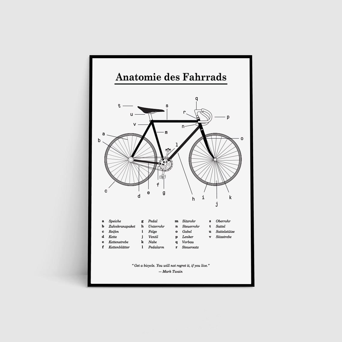 anatomie fahrrad