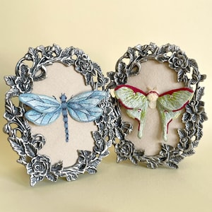 3D Luna Moth and Dragonfly