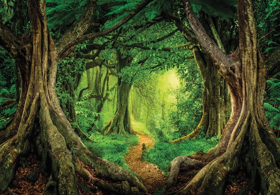 3d cheap wallpaper nature