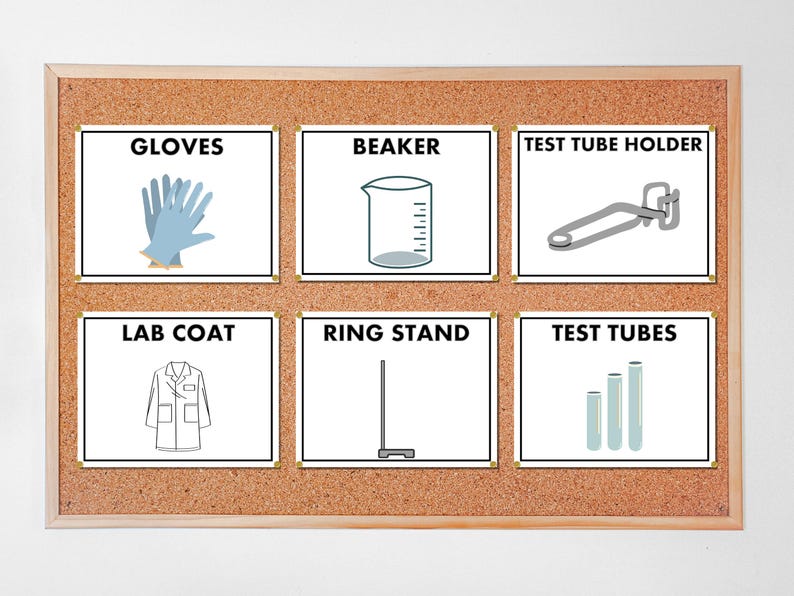 Lab Equipment Posters, Science Classroom, Decor, Safety - Etsy