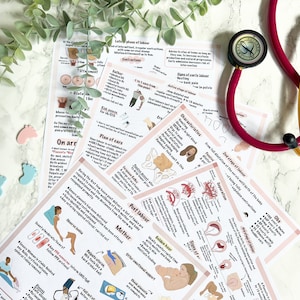 Paquete de 5 etapas del parto Revisión en pdf descargable Póster de revisión de obstetricia