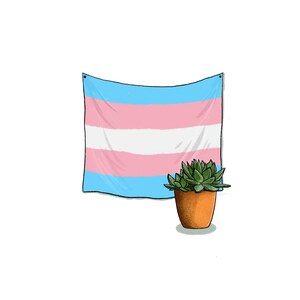 Trans Pride Art Print