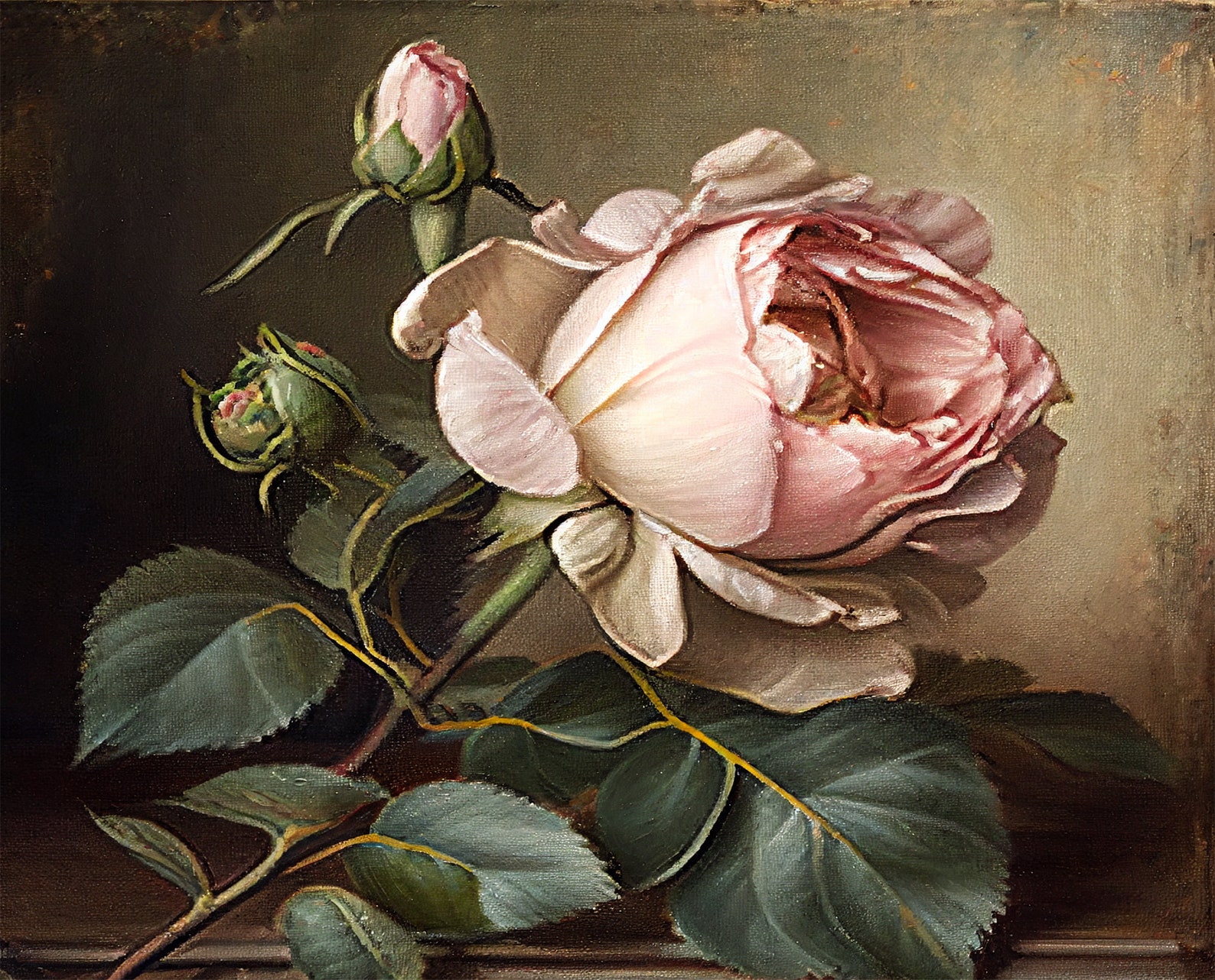 Moody Antique Rose Flowers Print - Floral Still Life Oil Painting ...
