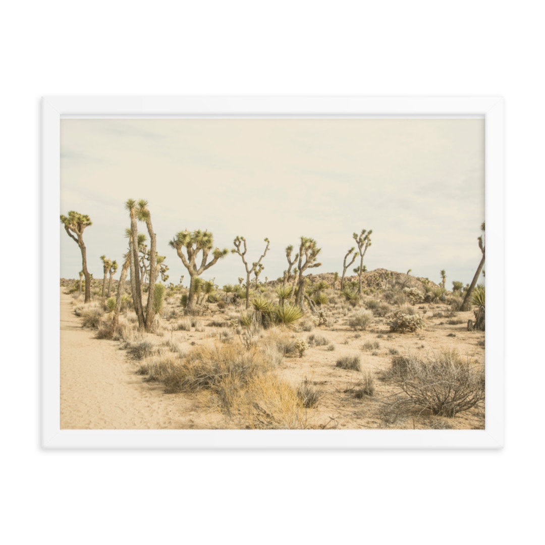 Joshua Tree California Print - Landscape Wall Art - National Park ...