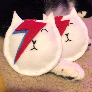 Kitty Stardust Catnip Toy