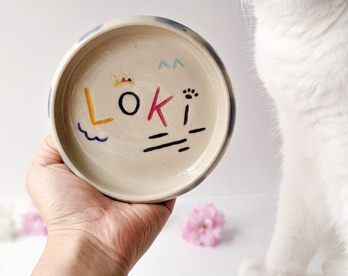 Custom Cute and Cheerful Pet Plate, 2 to 3 designs, handmade pottery for pets, dog, cat, bunny, pet owner gift, personalized gifts, pet bowl