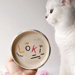 Cat Bowls
