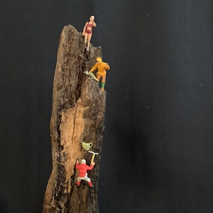 Climbers/Climb to the Top