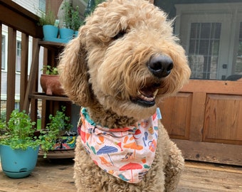 Beach Day Dog Bandana
