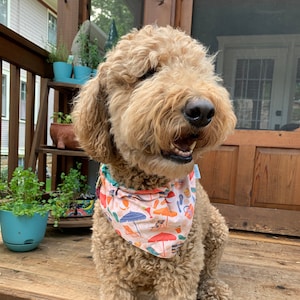 Beach Day Dog Bandana