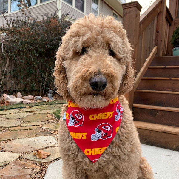 Bandana KC Chiefs pour chien/animal de compagnie - plusieurs tissus